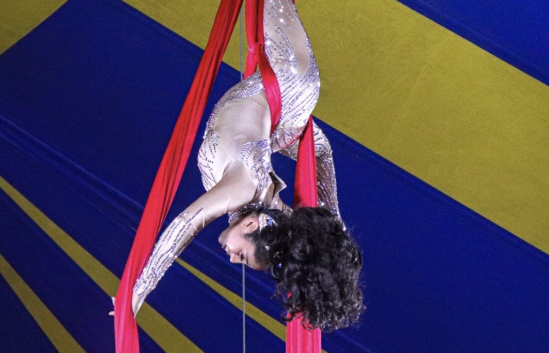 Mississippi State Fair: Zerbini Family Circus